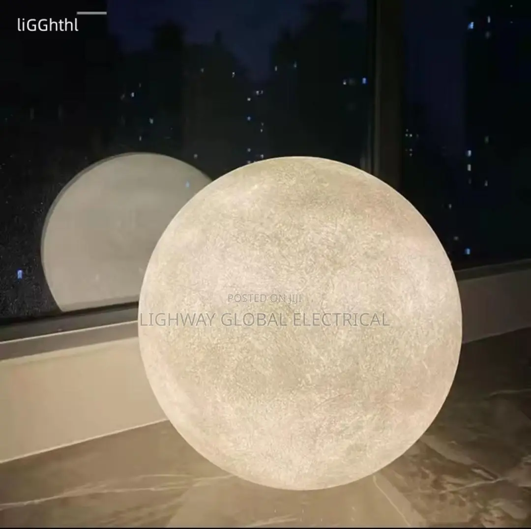 Indoor/Outdoor 2025 Nordic Moon Led Floor Lamp
