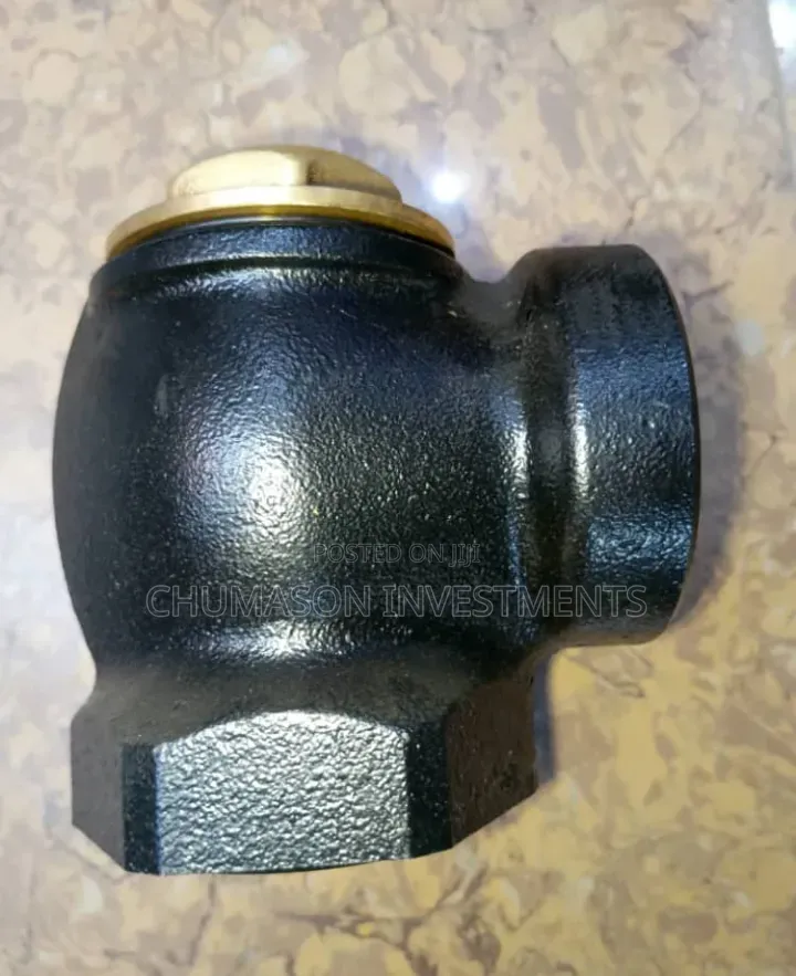 50mm Non-Return Mile-Steel Valve