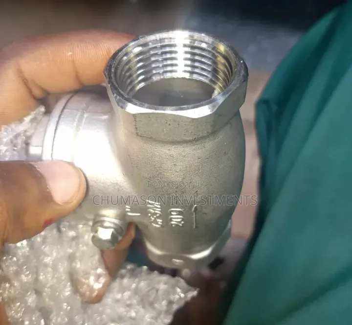 50mm Stainless Steel Non-Return Valve