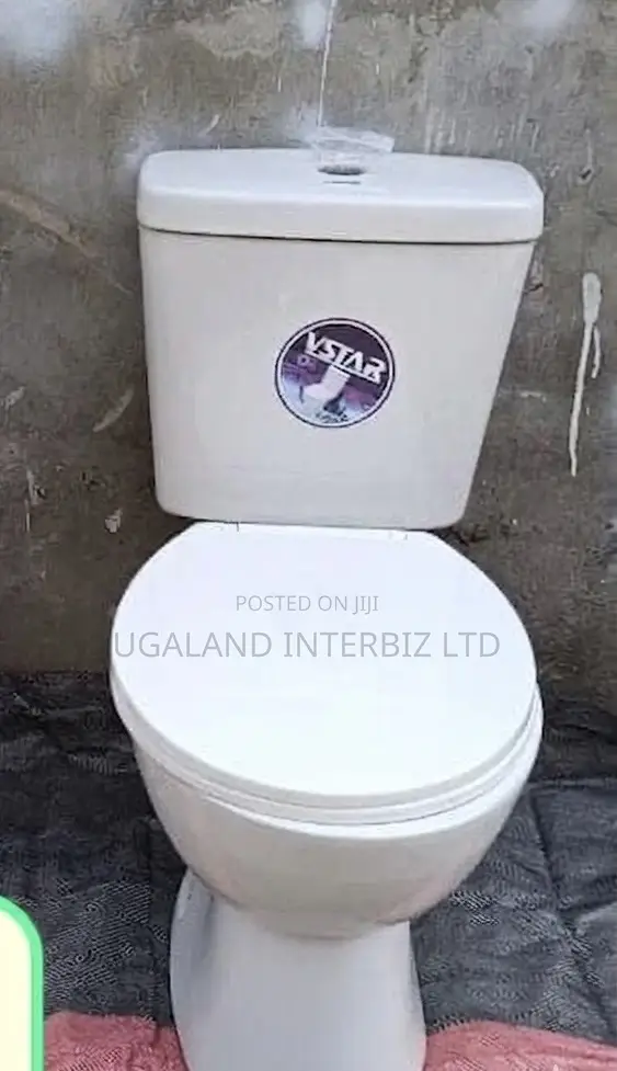 Premium Ceramic Dual Flush Toilet