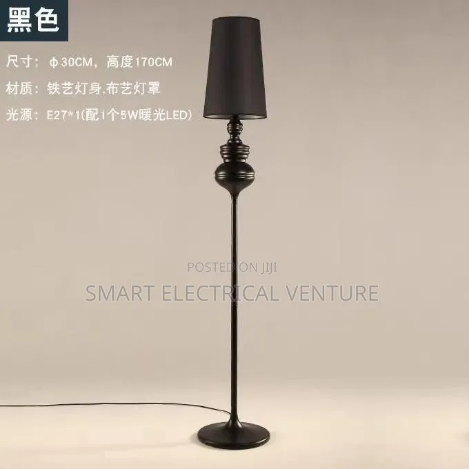 Chandeliers/Floor Lamp