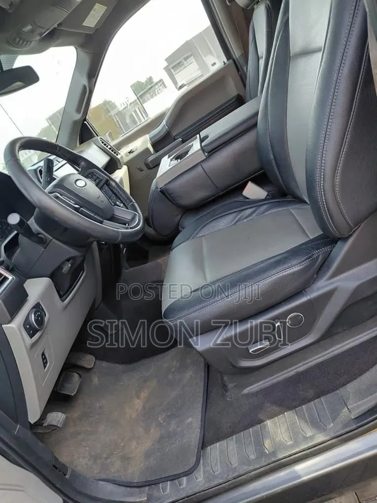 Ford F-150 2017 Gray