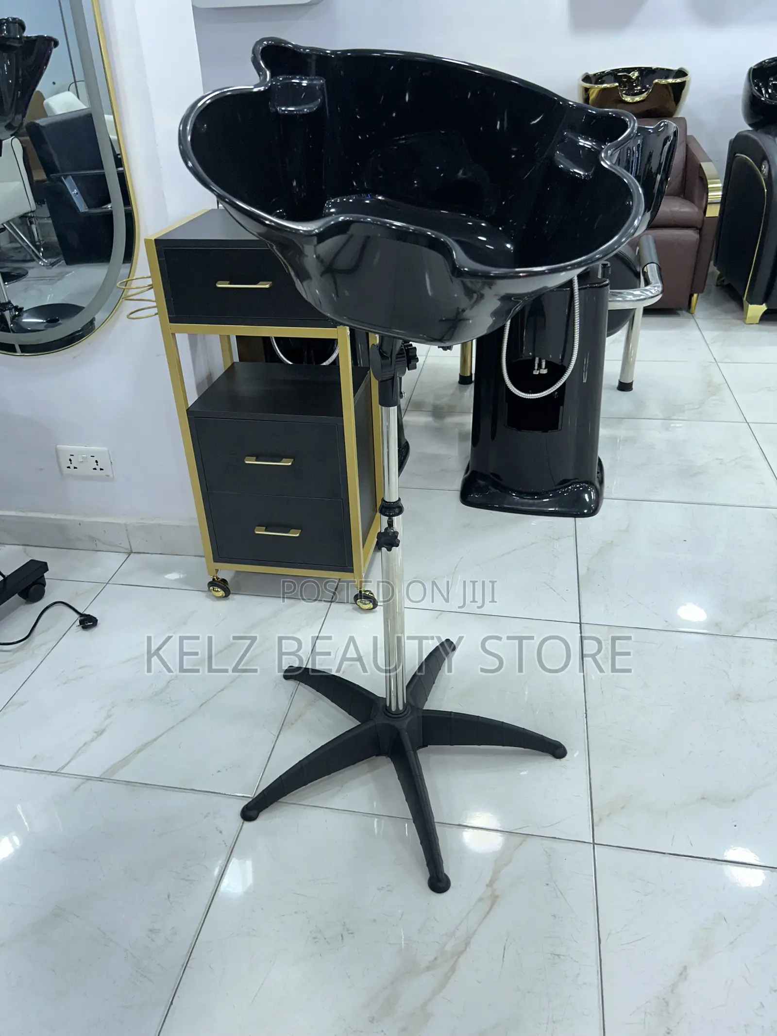 Standing Hair Wash Basin