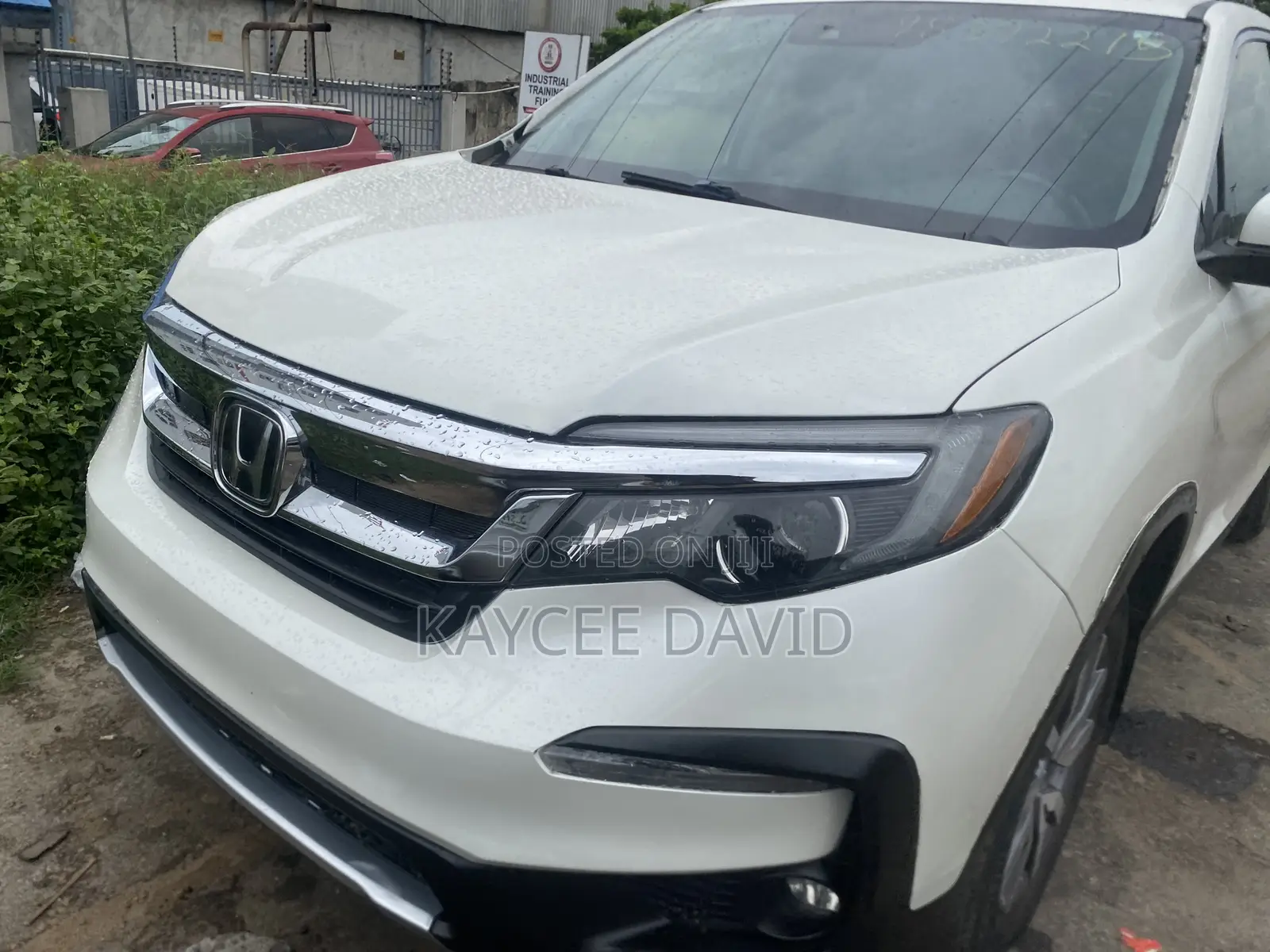 Honda Pilot EX-L AWD 2019 White