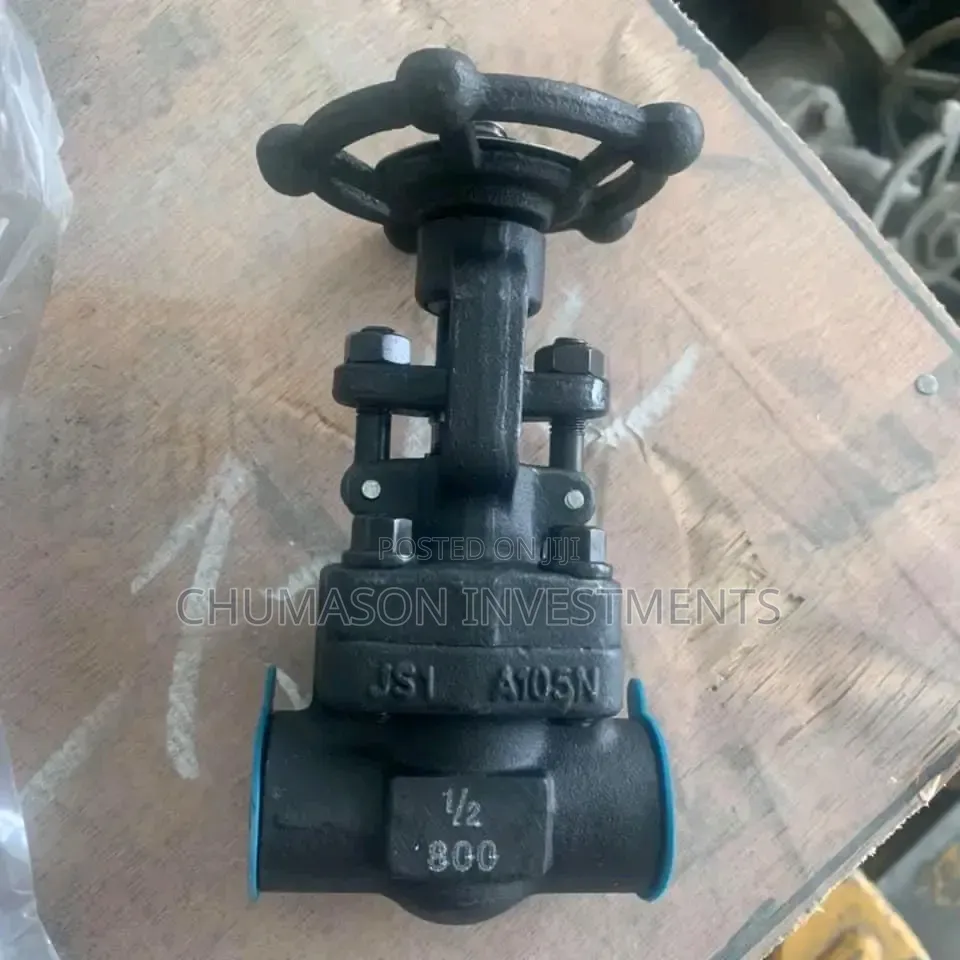 1/2 Needle Globe Valve