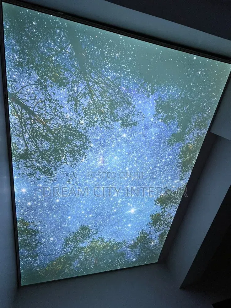 Stretch Ceiling 3d Designs