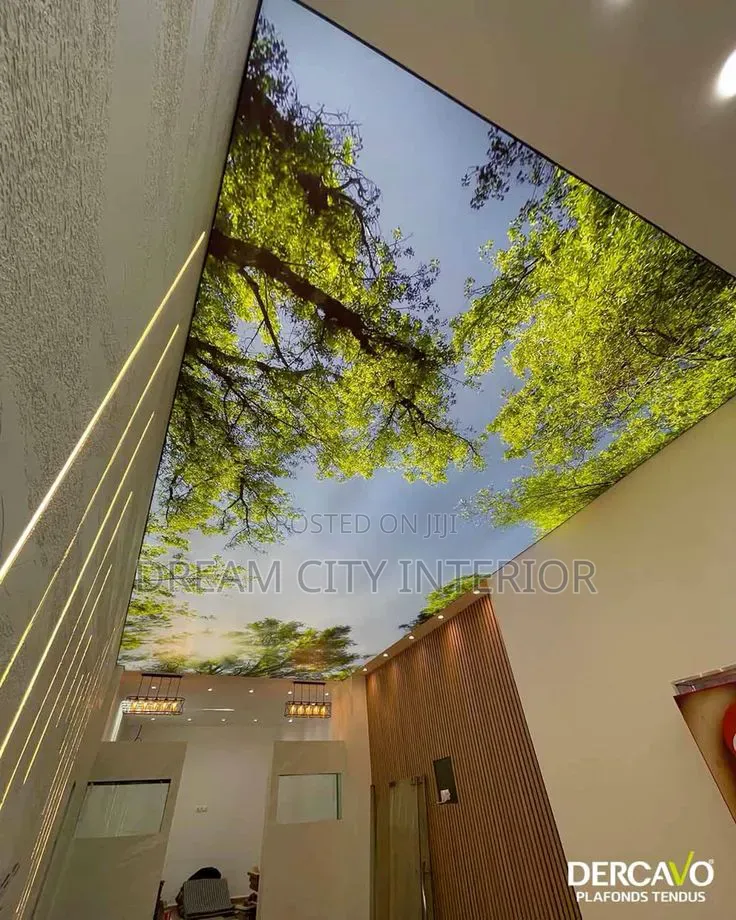 Stretch Ceiling 3d Designs