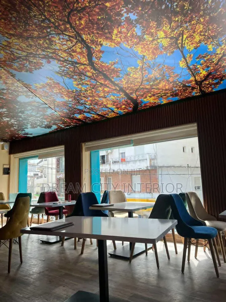 Stretch Ceiling 3d Designs