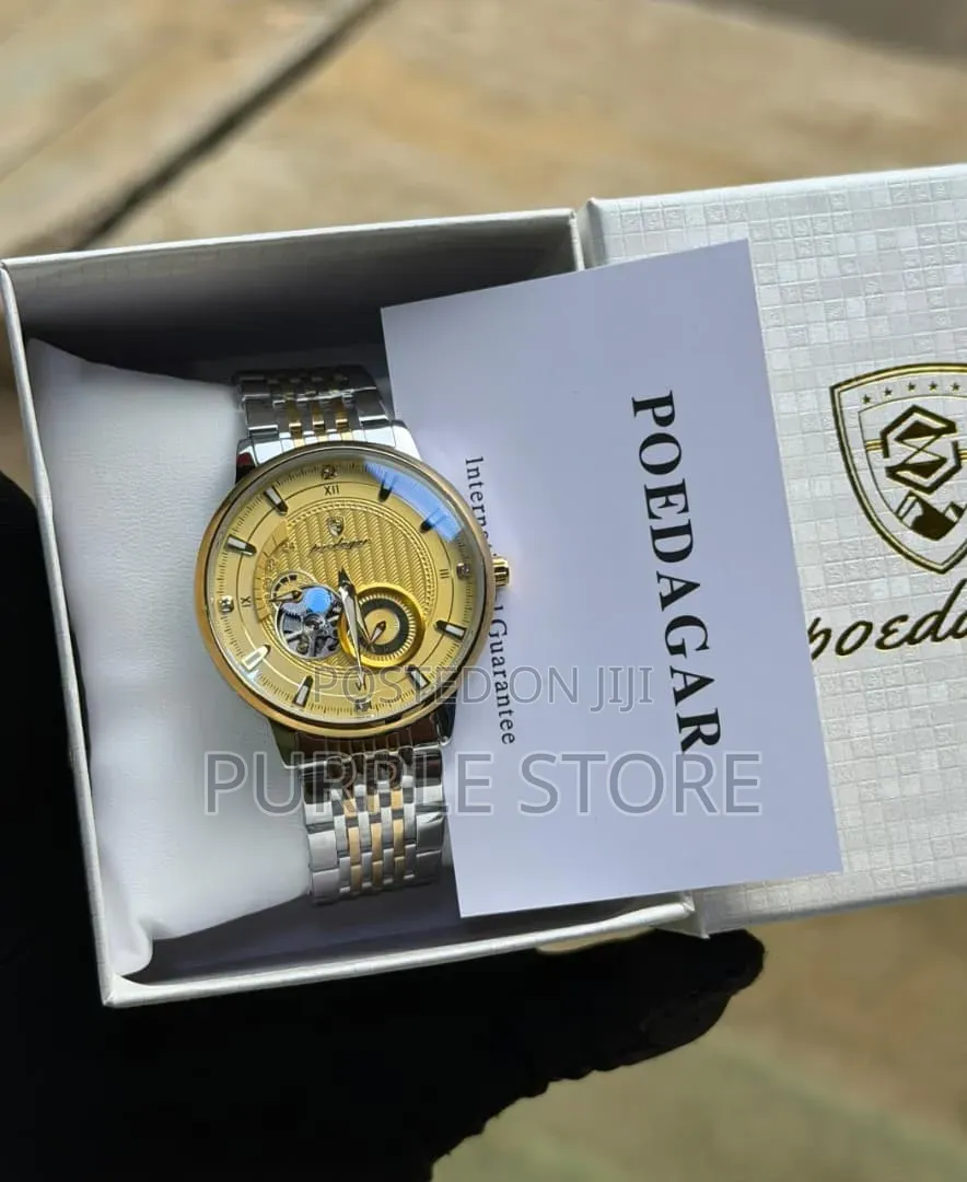 Poedagar Automatic Watch for Men, Luminous Dual, Chronograph
