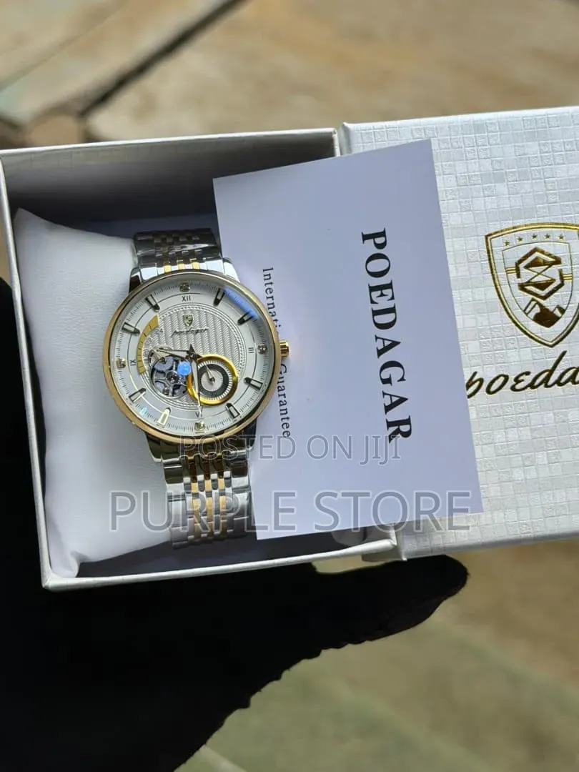 Poedagar Automatic Watch for Men, Luminous Dual, Chronograph