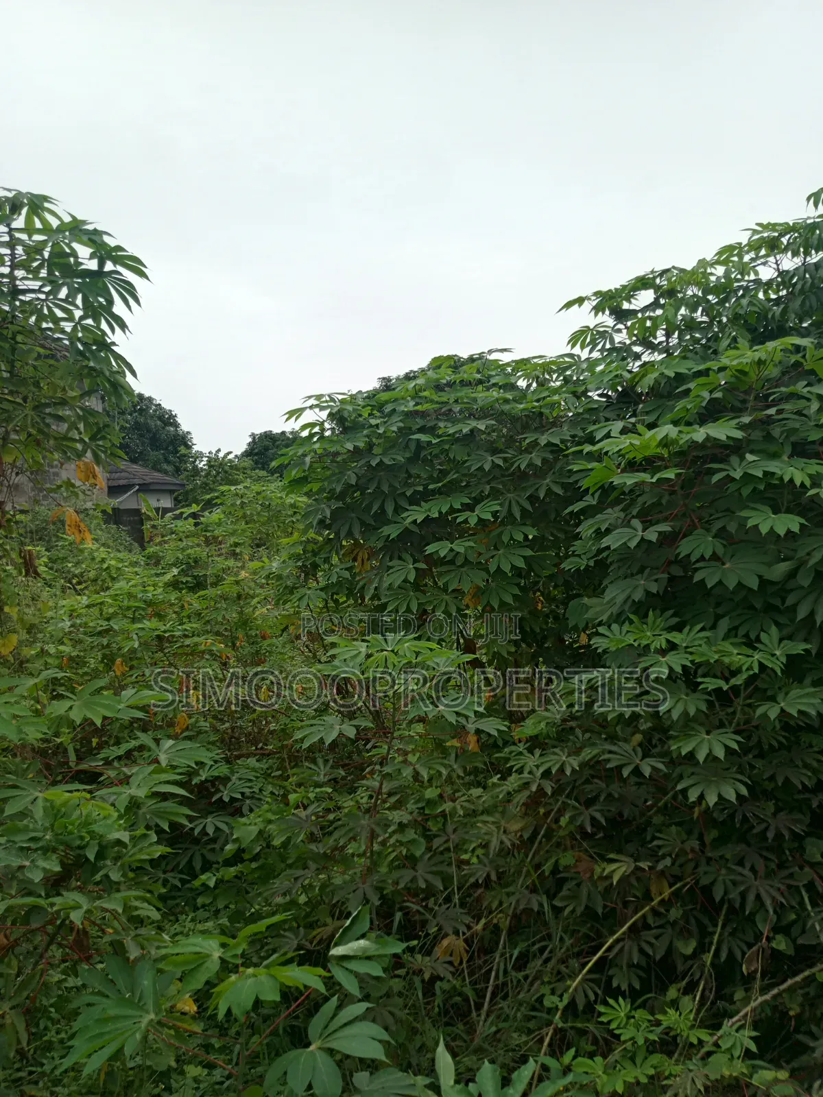 500sqm Of Land For Sale Inside A Mini Estate At Elemoro