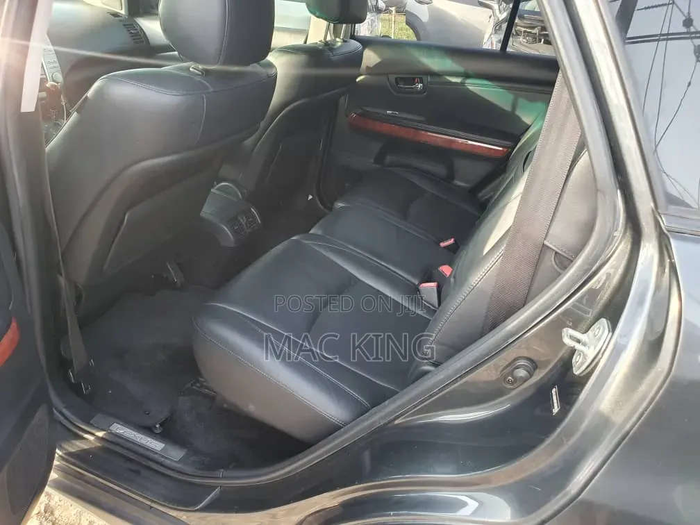 Lexus RX 2004 Gray