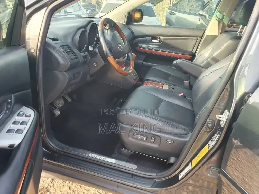Lexus RX 2004 Gray