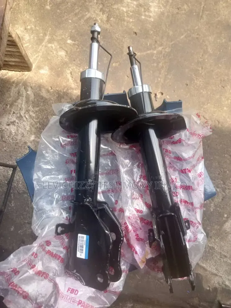 2016,2017,2018,2019 Ford Edge Front Shock Absorber