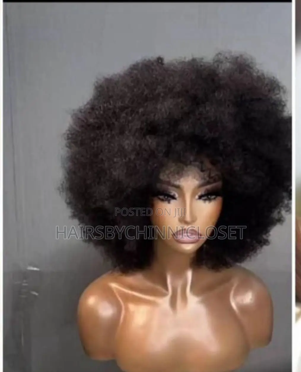 Afro Wig Hair