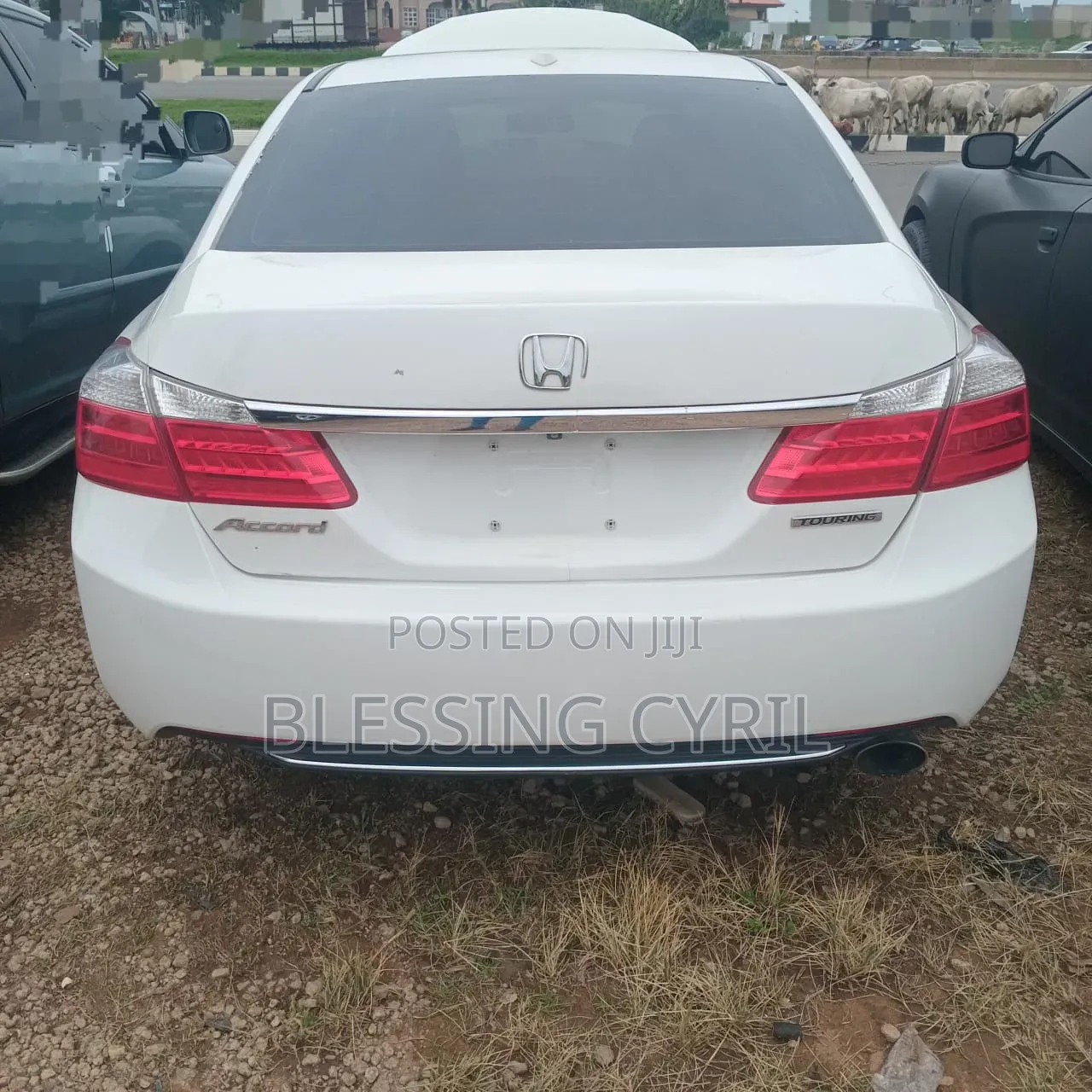 Honda Accord 2015 White