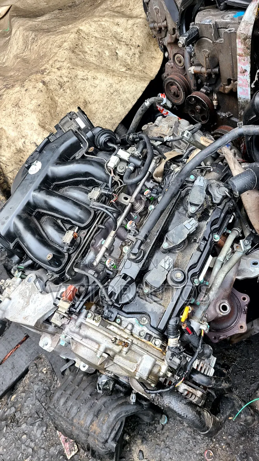 Nissan Murano,Maxima,Quest 2008/2010 Vq35 V6