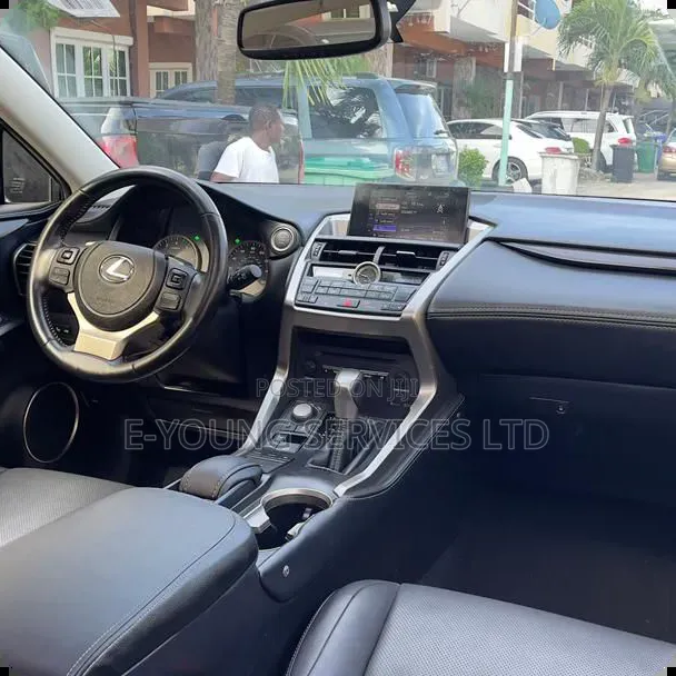 Lexus NX 2017 Gray