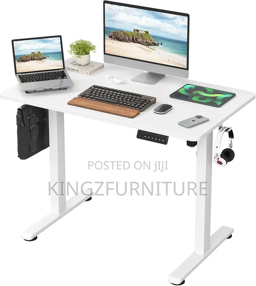 Home Office Electric Height-Adjustable Standing Desk,