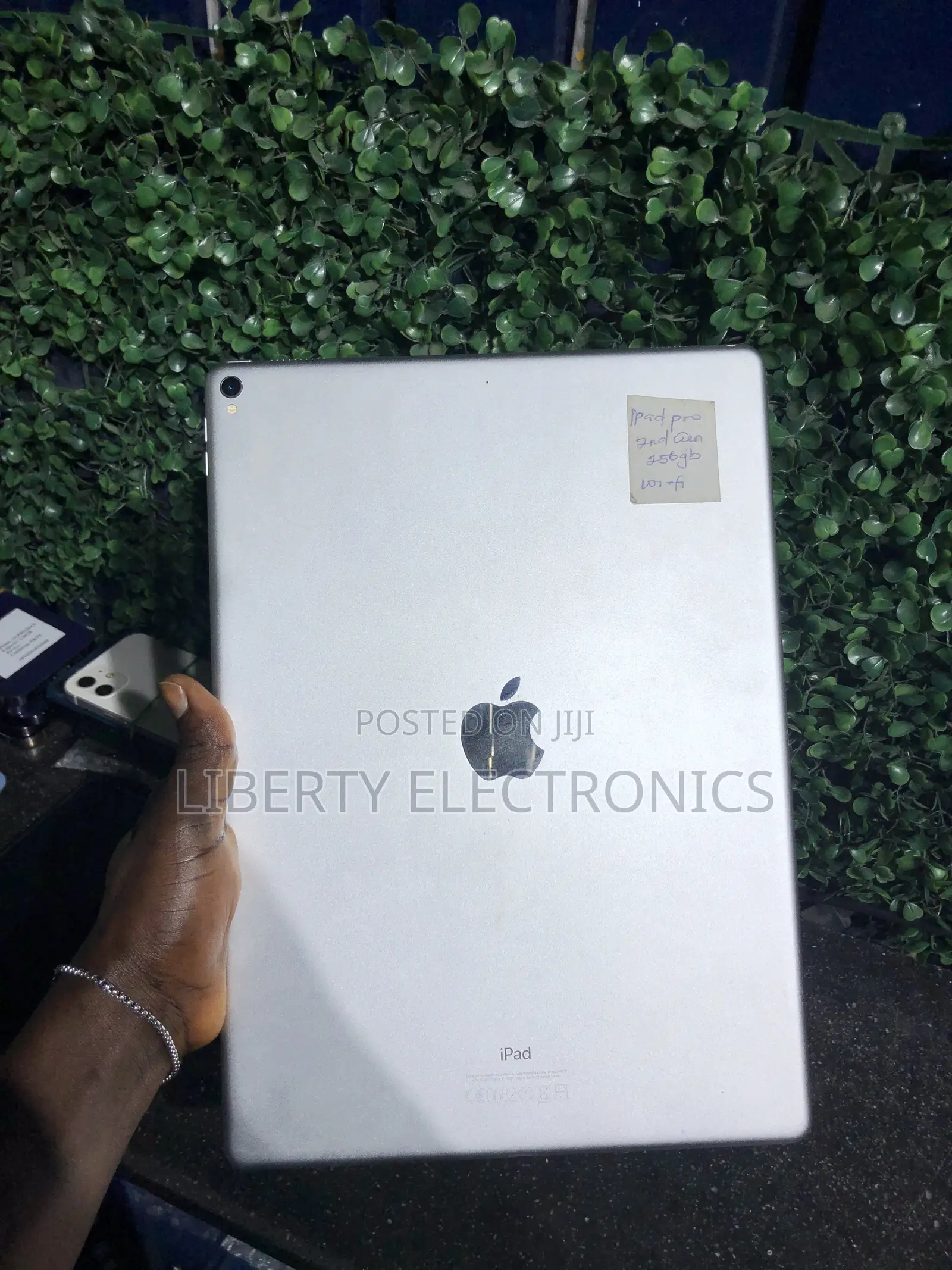 Apple iPad Pro 256 GB Silver