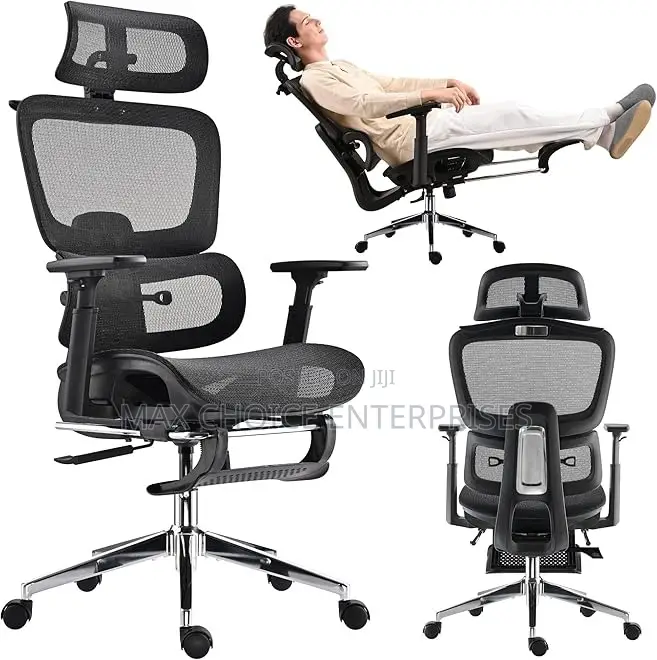 Ergohuman Ergonomic High Back Office Chair