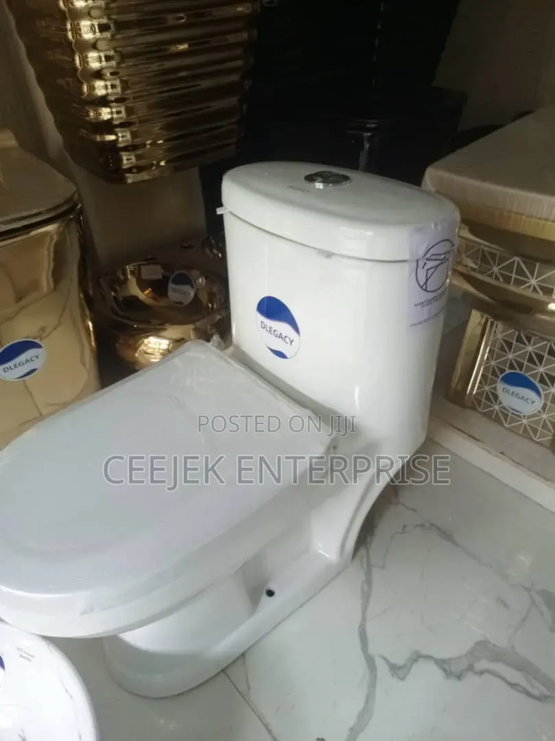 Children Water Closet