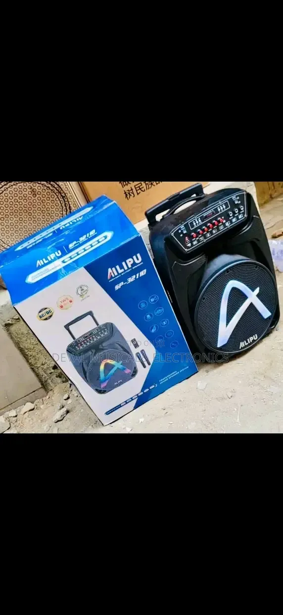 Alipu 12inches Public Adress