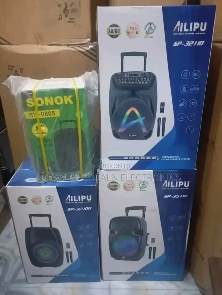 Alipu 12inches Public Adress