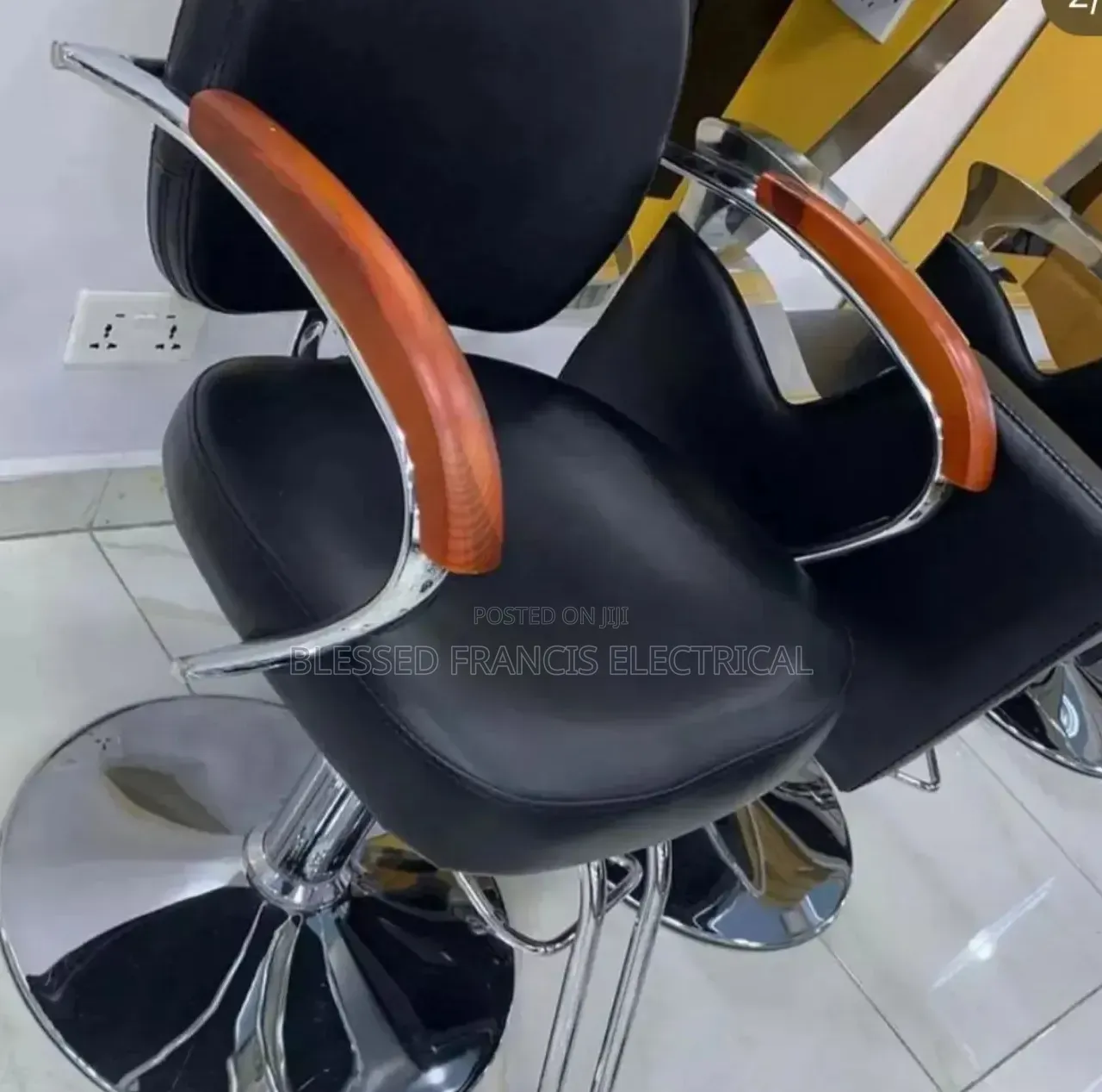 Luxury Salon Chair