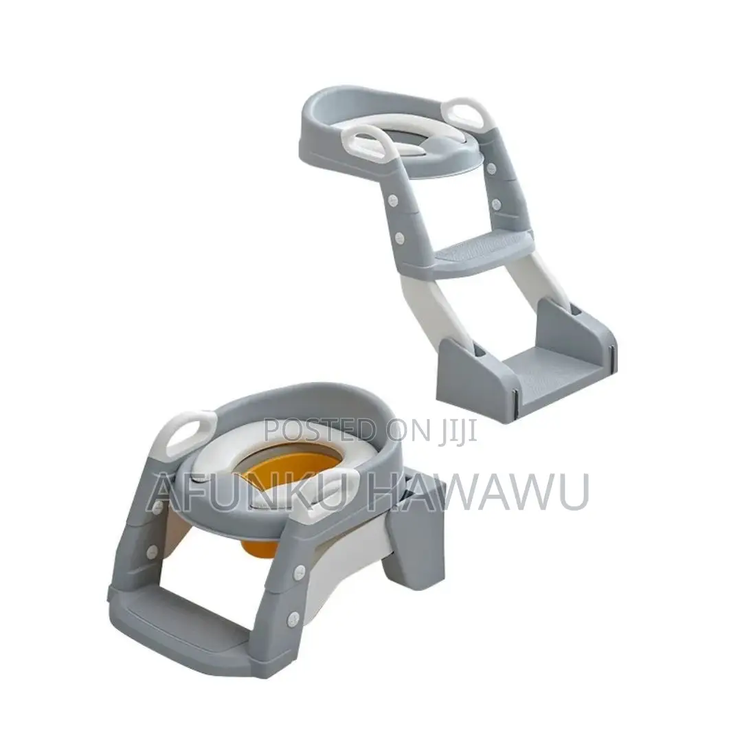 2 Way Kid Potty Ladder