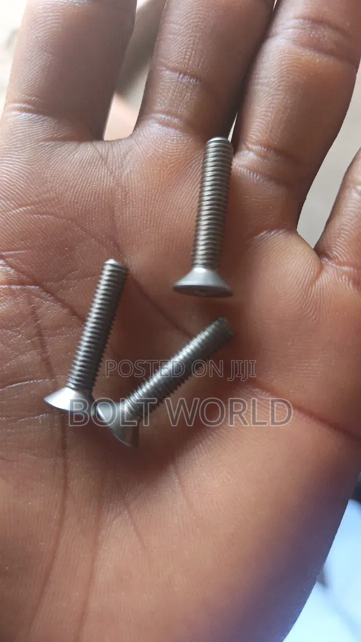 CSK Allen Bolt Stainless Steel 5mmx30