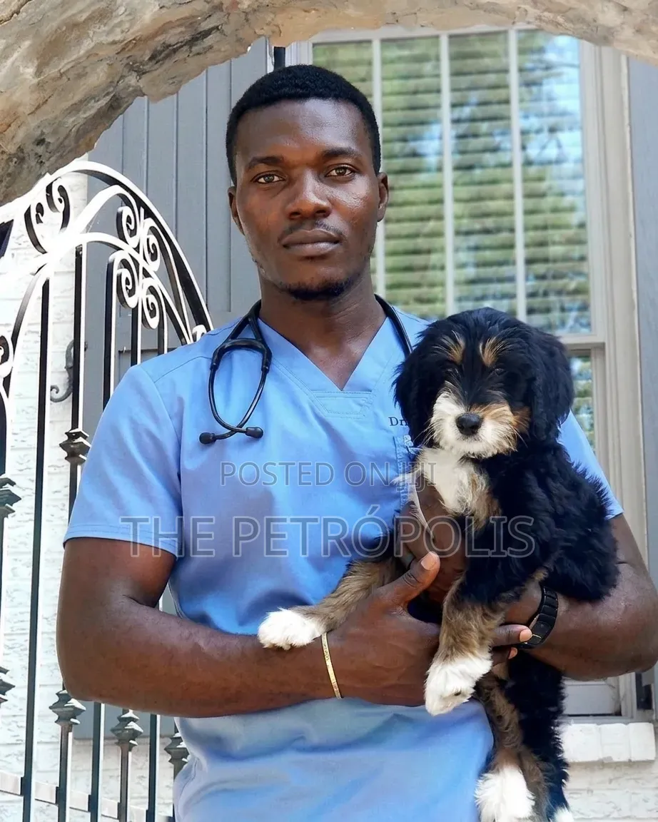 Grooming Services in Lagos