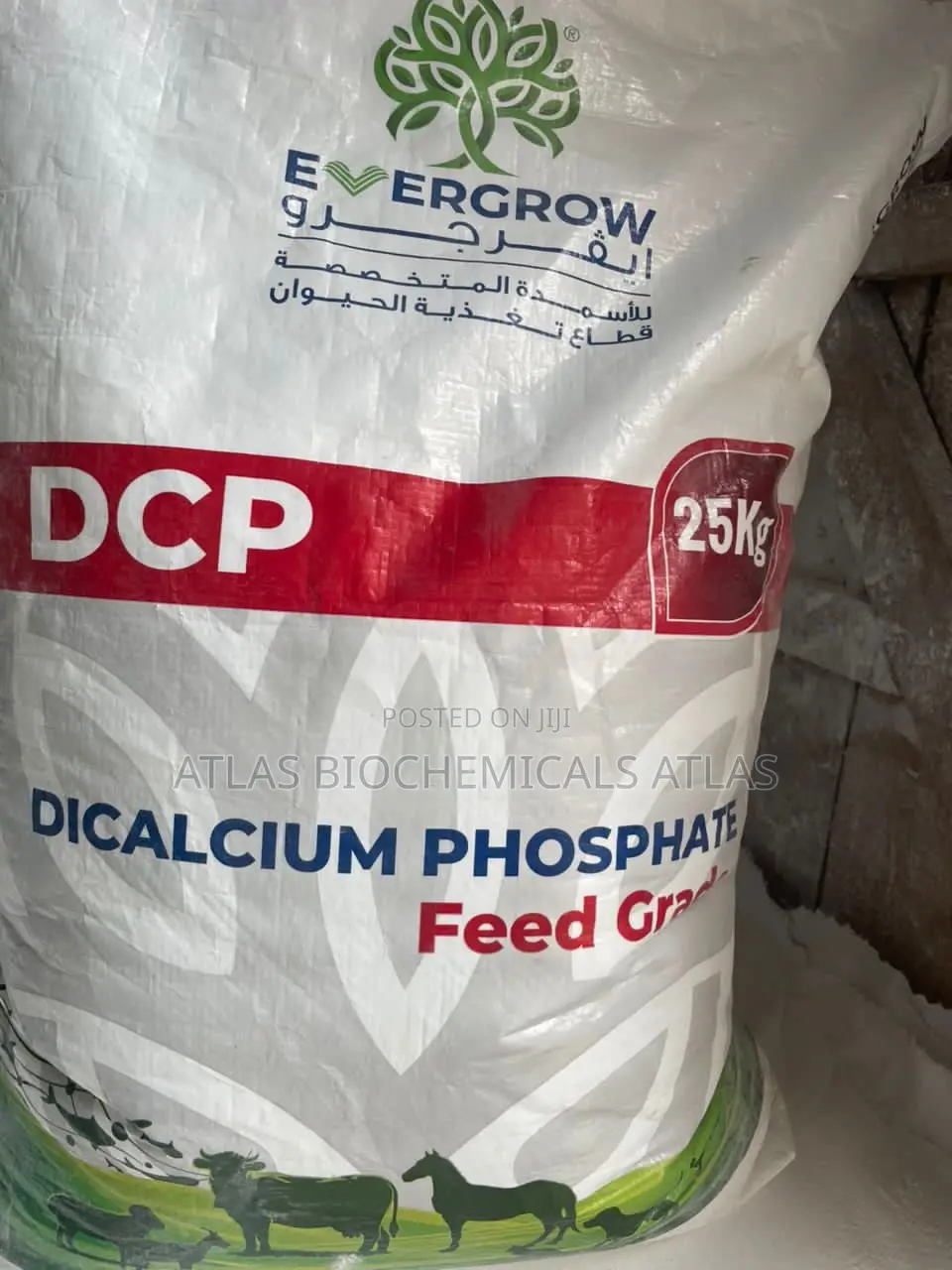 Dicalcium Phosphate (Dcp)
