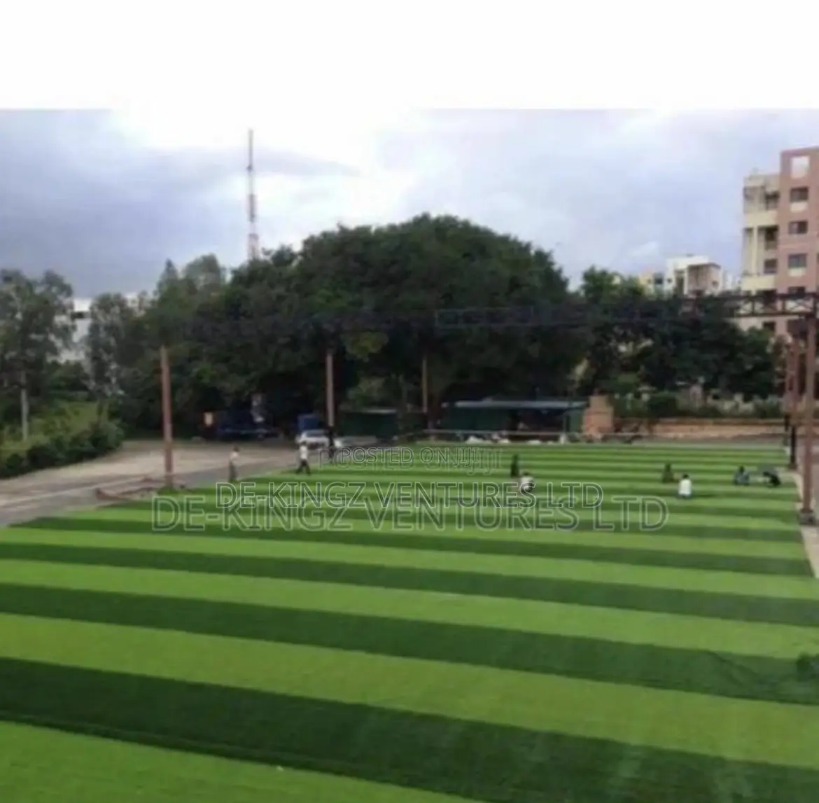 Grass Carpet Rug the Best for Garden, Field, Pitch, Anywhere