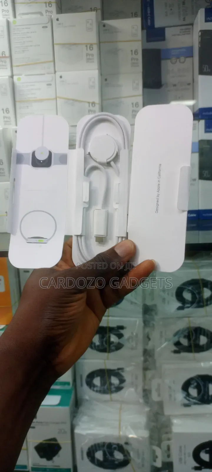 Type I Watch Charger