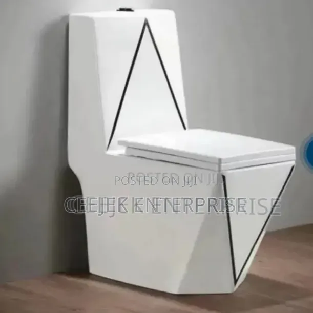 Luxury Water Closet With Black Design