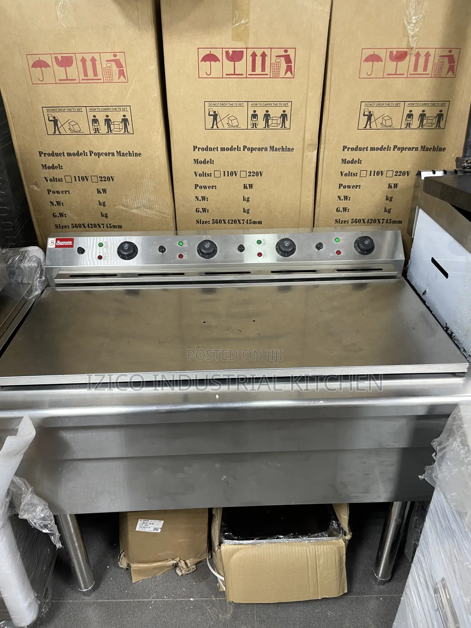 Electric Fryer