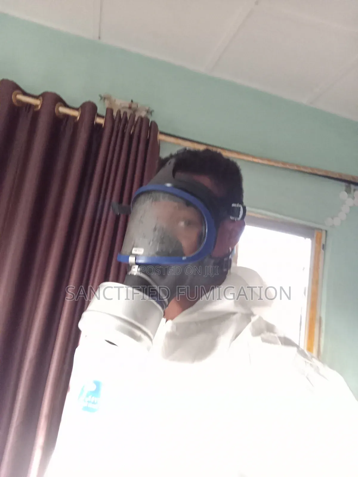 Organic Bedbug Infestation Treatment