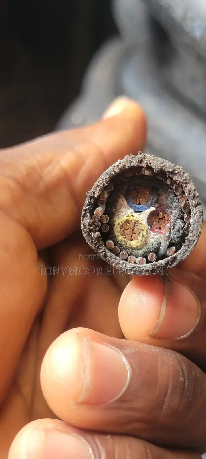 16mmx3core Armored Cable (Coleman Wire)