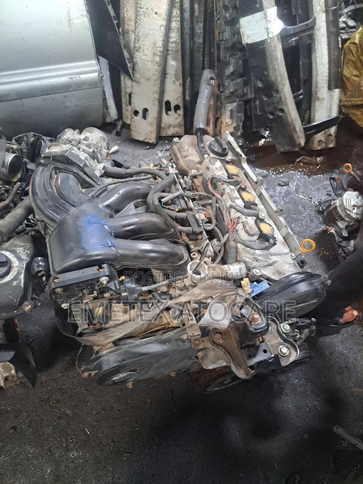 3mz for Toyota Highlander,Sienna,Lexus for Sale