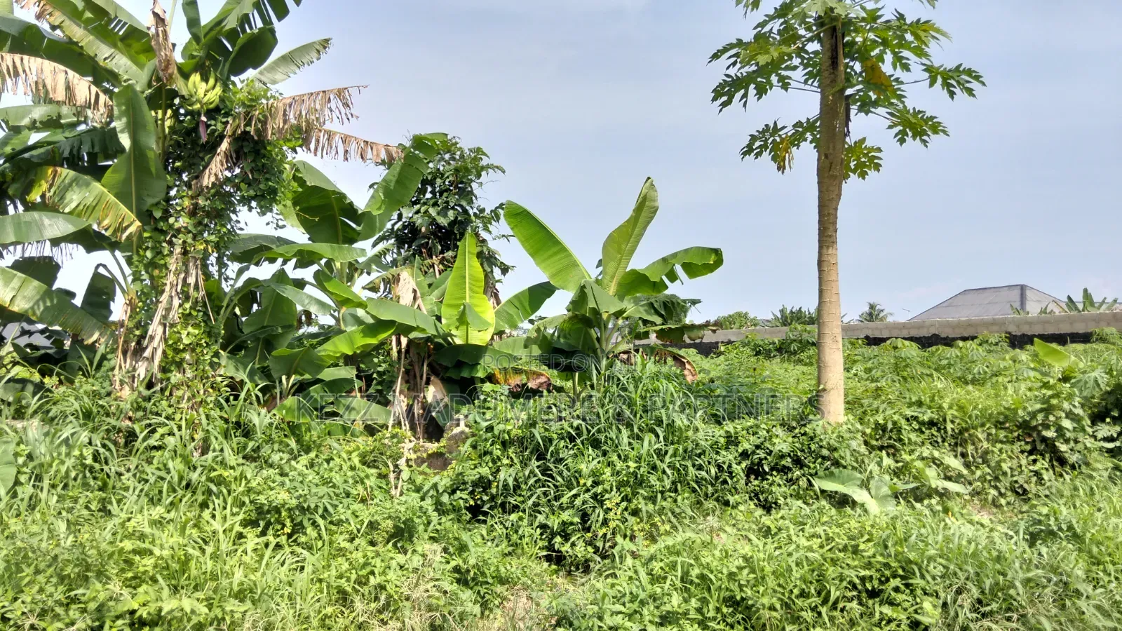 For Sale : 150 Plots At Omuike , Aluu , Rivers State