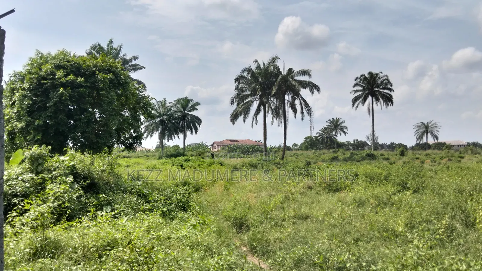 For Sale : 50 Plots Omuda Aluu, Ph