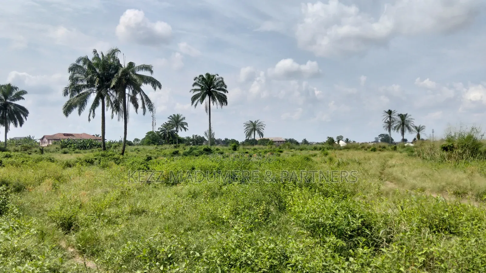 For Sale : 50 Plots Omuda Aluu, Ph