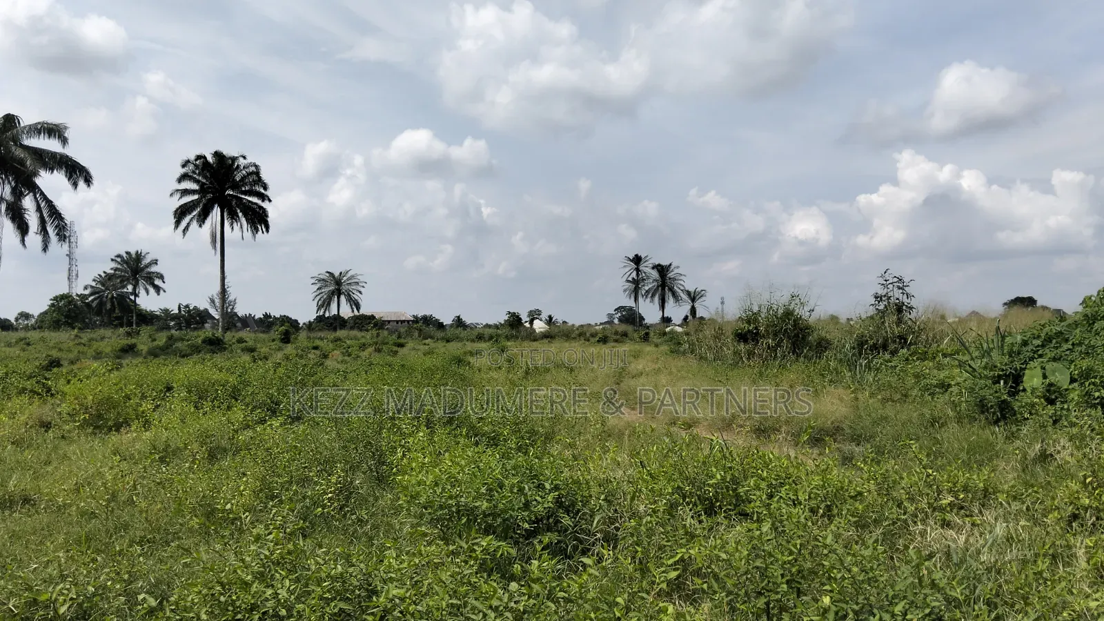 For Sale : 50 Plots Omuda Aluu, Ph