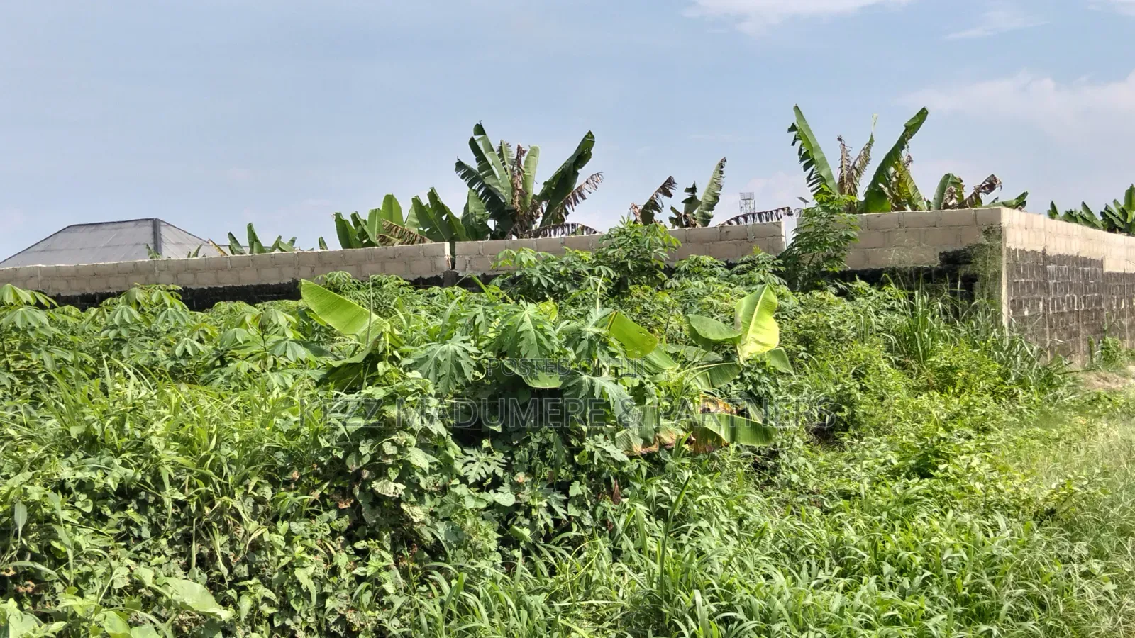 For Sale : 50 Plots Omuda Aluu, Ph