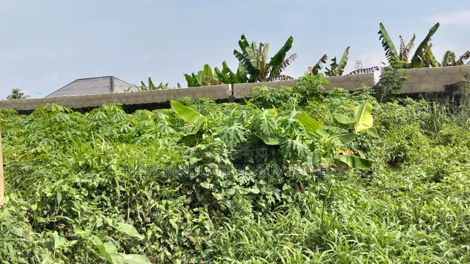 For Sale : 50 Plots Omuda Aluu, Ph