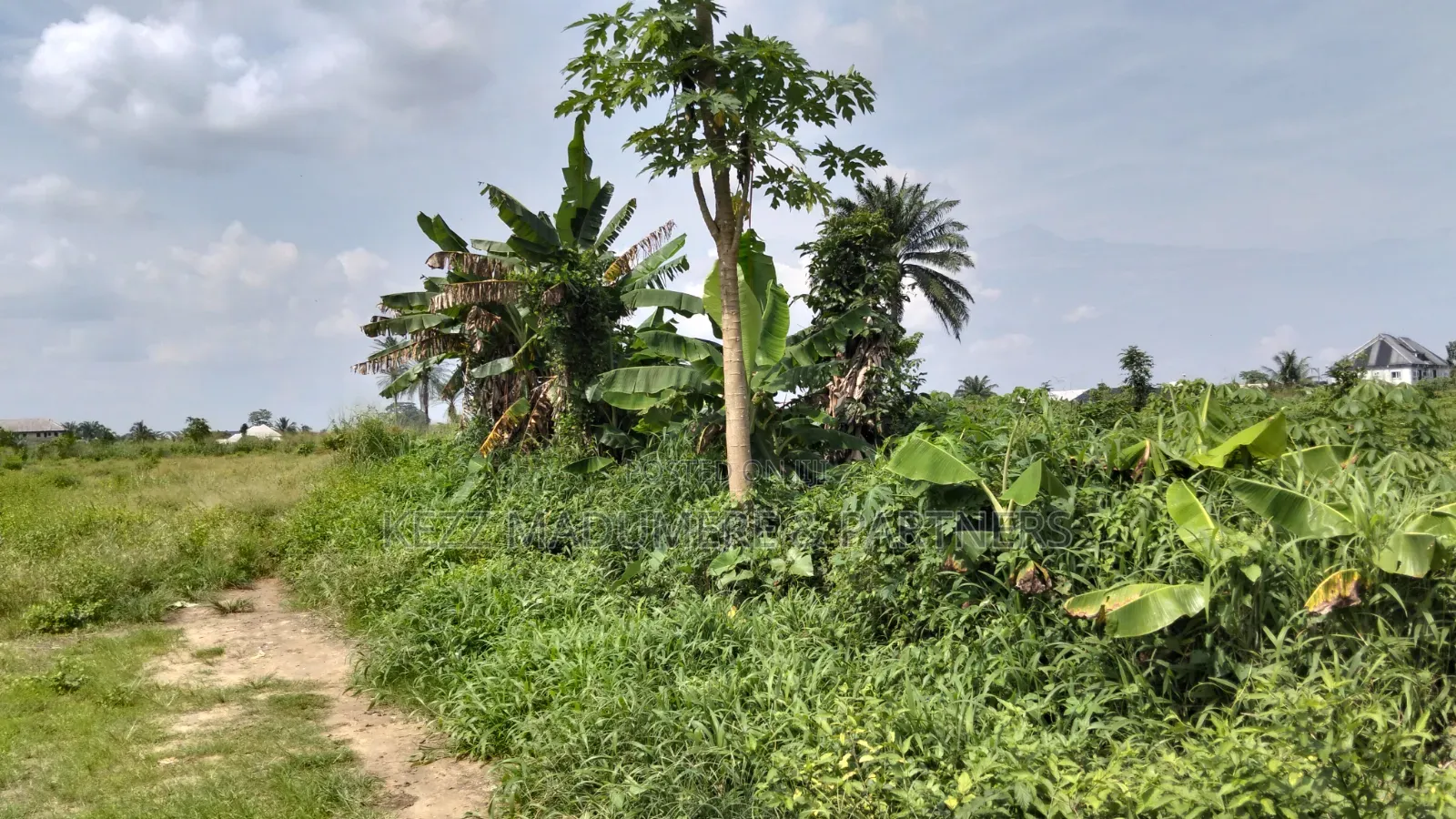 For Sale : 2 Plots at Mbodo Aluu Port Harcourt