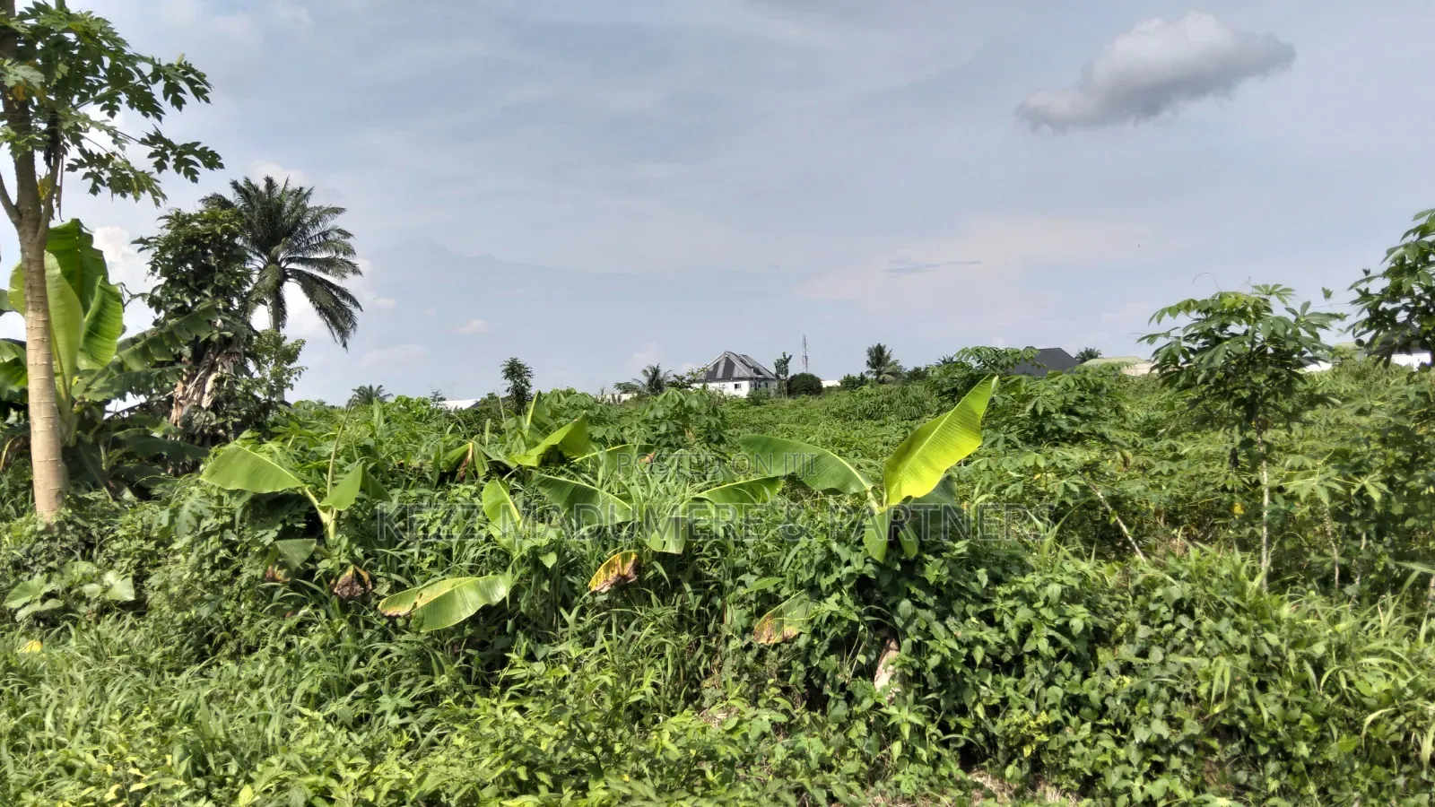 For Sale : 2 Plots at Mbodo Aluu Port Harcourt