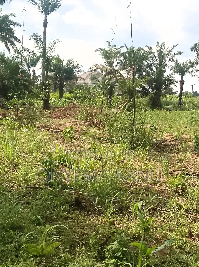 60 Plots for Industrial, Agricultural Use.