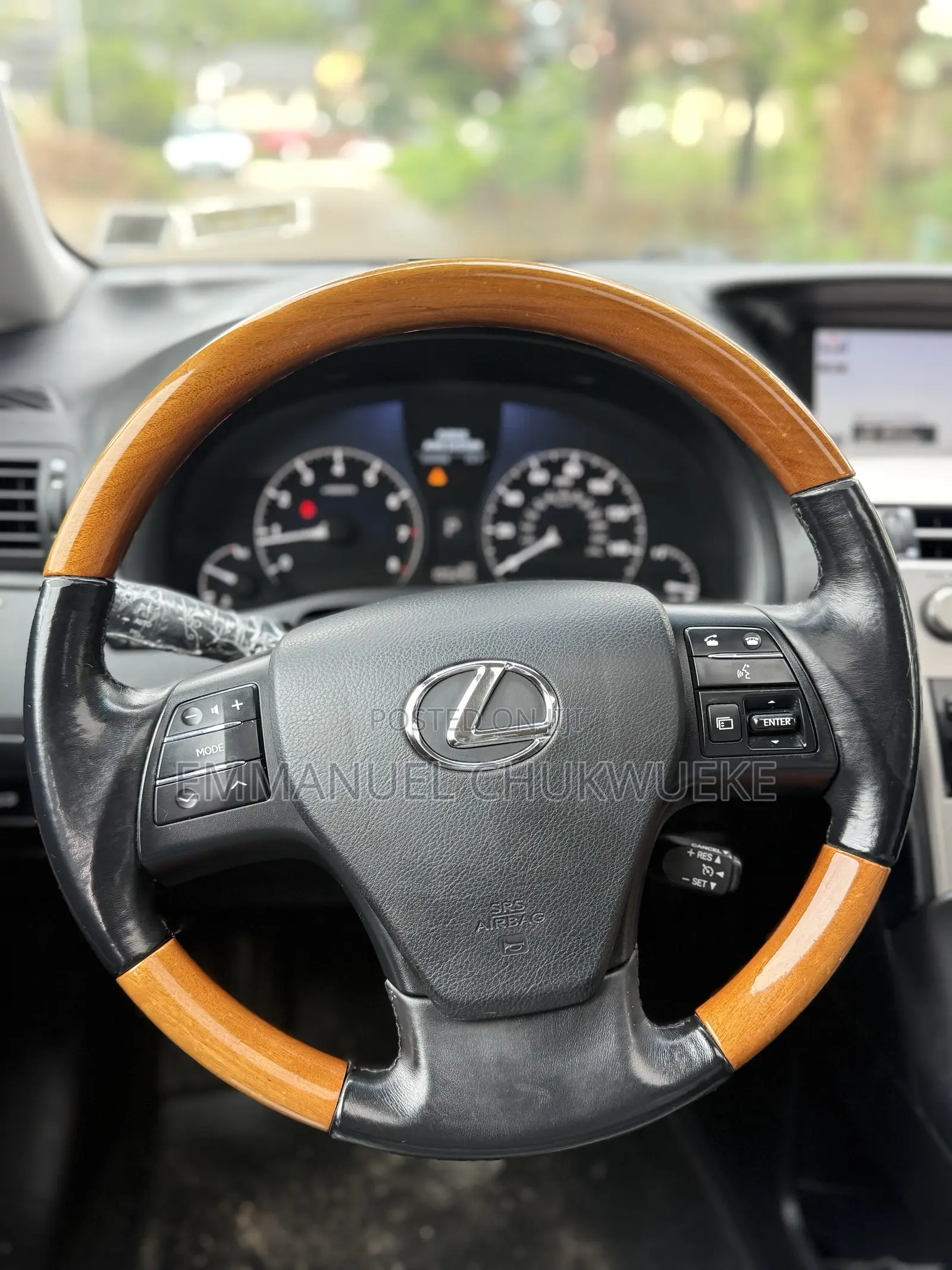 Lexus RX 2010 Gray